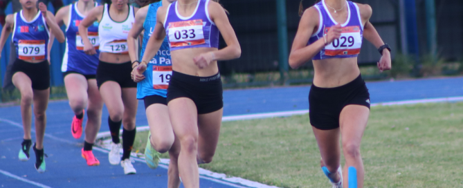 Juegos de la Araucanía